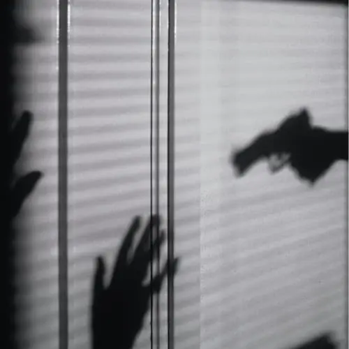 RexPeritus Law Firm - Criminal Law