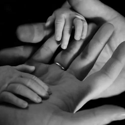 RexPeritus Law Firm - Family Law